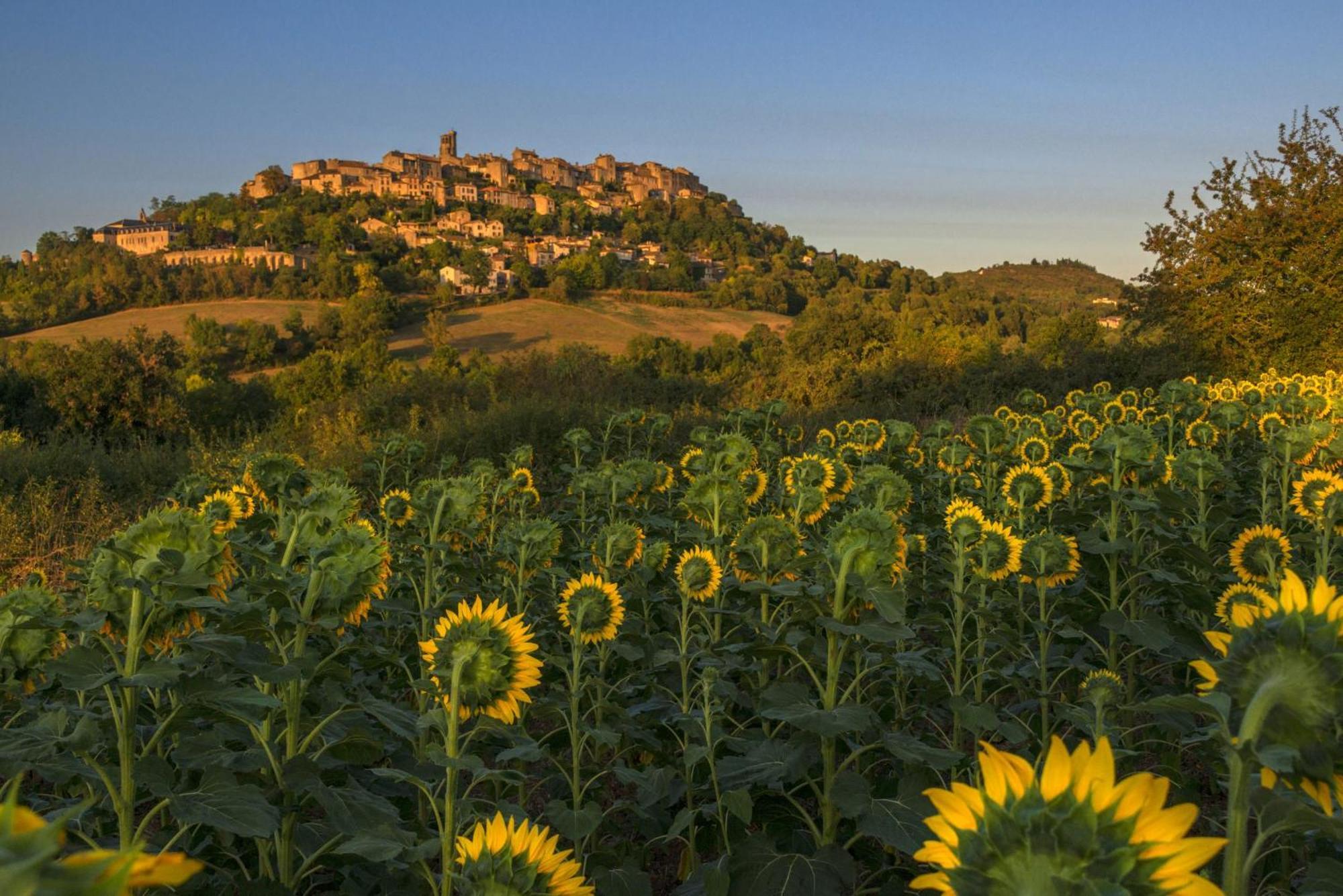 Domaine De La Monestarie - Teritoria Ξενοδοχείο Bernac  Εξωτερικό φωτογραφία